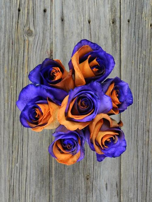 ORANGE & PURPLE  TINTED ROSE